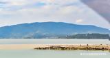 Σαρηγιάννης,sarigiannis