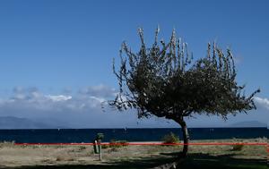 Καιρός - Θοδωρής Κολυδάς, Πόσο, kairos - thodoris kolydas, poso