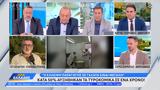 Κατά 50,kata 50