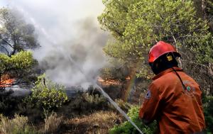 Φωτιά, Μάκρη, fotia, makri