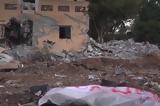 Ζούμε, Νετανιάχου –, Γιουβάλ Νώε Χαράρι, Ισραήλ,zoume, netaniachou –, giouval noe charari, israil
