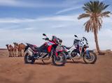 Honda CRF1100L Africa Twin ΜΥ24, CRF1100L Africa Twin Adventure Sports ΜΥ24,Honda CRF1100L Africa Twin my24, CRF1100L Africa Twin Adventure Sports my24