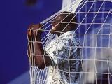 Rashidi Yekini,Google