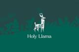 Holy Llama Themed Nights,