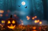 Γνωρίζετε, Halloween –,gnorizete, Halloween –