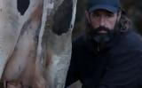 Φάρμα, Πηνελόπη, Παρλάντζα Κατάλαβα, – Αν,farma, pinelopi, parlantza katalava, – an