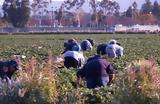 Αγρότες, Μετ’,agrotes, met’