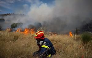 Φωτιά, Κωπηλατοδρόμιο, Σχοινιά, fotia, kopilatodromio, schoinia