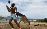 Τουρίστας, Μονή Αίγινας,touristas, moni aiginas