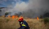 Εύβοια, Μεγάλη, Κάρυστο-Εκκενώνεται, Αμυγδαλιά,evvoia, megali, karysto-ekkenonetai, amygdalia