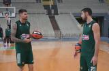 Παναθηναϊκός, Αταμάν,panathinaikos, ataman