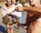 Χανιά, Τεράστια, Χρυσή Ακτή – Δείτε BINTEO,chania, terastia, chrysi akti – deite BINTEO