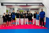 Ιδιαίτερη, Tae Kwon Do, ΠΑΟΚ,idiaiteri, Tae Kwon Do, paok