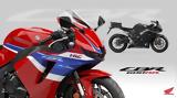 Honda Motorcycles,CBR600RR MY24