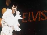 Elvis Presley,