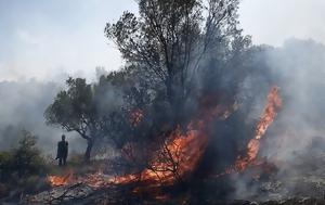 Φωτιά, Σητεία, Εγιναν, fotia, siteia, eginan