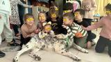 Ηράκλειο, Όσκαρ, 23ο Νηπιαγωγείου,irakleio, oskar, 23o nipiagogeiou
