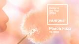 Pantone, Peach Fuzz, Χρώμα, 2024,Pantone, Peach Fuzz, chroma, 2024