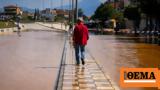 Νέες,nees