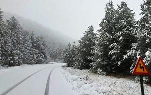 Φλώρινας, florinas