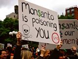 ΗΠΑ, Καταδικάστηκε, Monsanto, 857,ipa, katadikastike, Monsanto, 857