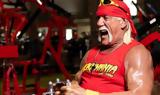 Hulk Hogan,