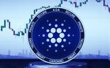 Πρόβλεψη, Cardano, 2024,provlepsi, Cardano, 2024