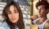 Shawn Mendes,Camila Cabello