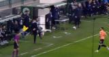 Παναθηναϊκός, Τερίμ,panathinaikos, terim