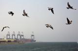 InFocus Το Ιράν, Ερυθρά, Στενά, Ορμούζ,InFocus to iran, erythra, stena, ormouz