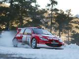 Peugeot 206 WRC, Γαλλικός,Peugeot 206 WRC, gallikos