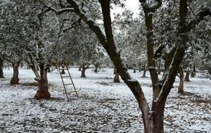 Έρχονται, Σάββατο – Ποιες, — Αναλυτική, erchontai, savvato – poies, — analytiki