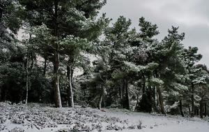 Διακοπή, Λεωφόρο Πάρνηθος, diakopi, leoforo parnithos