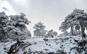 Αποκαταστάθηκε, Πάρνηθος, apokatastathike, parnithos