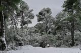 Καιρός, Χιόνια, Αττικής, - Τσουχτερό,kairos, chionia, attikis, - tsouchtero