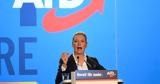 Δημοψήφισμα, Γερμανίας, AfD,dimopsifisma, germanias, AfD