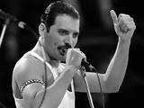 Freddie Mercury,