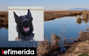 Μεσολόγγι, Μέσα, Μπάμπη -Δεν, mesolongi, mesa, babi -den