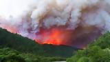 Μεγάλη, Los Alerces, Αργεντινής – Εμπρησμός, Μαπούτσε,megali, Los Alerces, argentinis – ebrismos, mapoutse