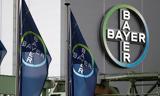 Bayer, - Κατρακυλά,Bayer, - katrakyla