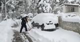 Κικίλιας, Σύσταση, Αττική Εύβοια, Βοιωτία,kikilias, systasi, attiki evvoia, voiotia