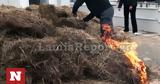Λαμία, Αγρότες, ΟΠΕΚΕΠΕ,lamia, agrotes, opekepe