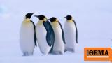 Γρίπη, Ανταρκτική – Πέθαναν 200,gripi, antarktiki – pethanan 200