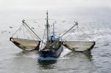 Αλιεία, Ευρωπαϊκό Ταμείο Θάλασσας,alieia, evropaiko tameio thalassas