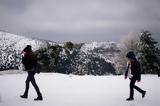 Εγκλωβισμένο, Φυλή - Αίσιο, Πάρνηθα,egklovismeno, fyli - aisio, parnitha