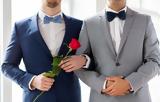 Τι προβλέπει το νομοσχέδιο για τα ομόφυλα ζευγάρια – Ο γάμος, οι άδειες πατρότητας και μητρότητας,η υιοθεσία