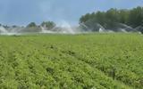 30η Agrotica, Γεωργίας Διατήρησης Εδαφών,30i Agrotica, georgias diatirisis edafon