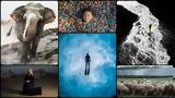 Εντυπωσιακές, Sony World Photography Awards 2024,entyposiakes, Sony World Photography Awards 2024