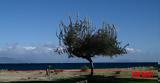 Καιρός, Έως, Κυριακή,kairos, eos, kyriaki