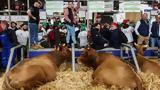 Παρίσι, Ντου, Salon De L’Agriculture, Μακρόν,parisi, ntou, Salon De L’Agriculture, makron